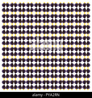 Viola tang, Zebrasoma xanthurum, nel modello ripetuto, di fronte a uno sfondo bianco Foto Stock