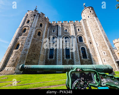 Dragon Cannon, nella parte anteriore della Torre Bianca, la Torre di Londra, Inghilterra, Regno Unito, GB. Foto Stock