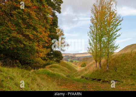 Vista a ovest dalla cenere cava, Weardale in autunno Foto Stock