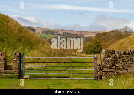 Vista a ovest dalla cenere cava, Weardale in autunno Foto Stock