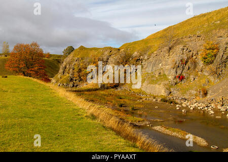 Ceneri cava, Stanhope in autunno Foto Stock