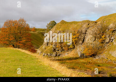 Ceneri cava, Stanhope in autunno Foto Stock