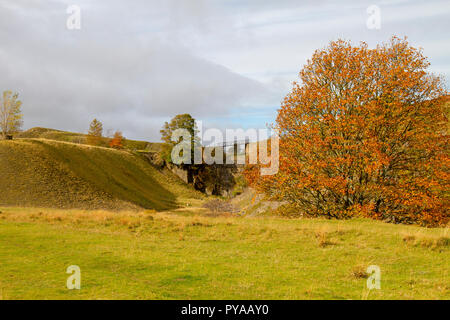 Ceneri cava, Stanhope in autunno Foto Stock