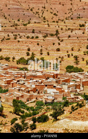 Il Marocco SOUS valle un borgo collinare CON TERRAZZE DI GRANO Foto Stock