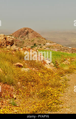 Il Marocco SOUS strada della valle dei fiori in primavera la moschea di rosa e il villaggio sulla collina Foto Stock