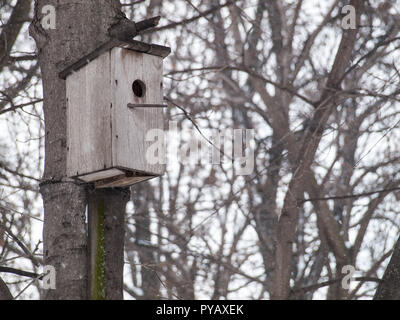 In legno antico birdhouse attaccato a un albero in inverno. Luogo di svernamento per uccelli Foto Stock