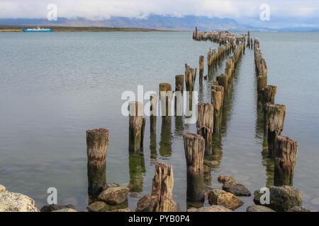 Patagonia bay e montagne da Puerto Natales con cormorani sul vecchio palificazioni giorno Foto Stock