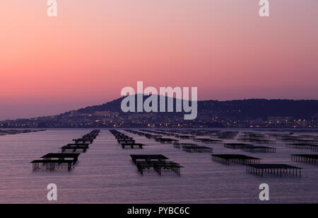 Sunrise sullo stagno di Thau in Bouzigues, Occitanie, Francia Foto Stock