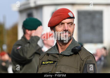 Vienna, Austria. 26 ottobre 2018. Spettacolo delle forze Armate austriache durante la festa nazionale a Vienna in Piazza degli Eroi. Credit: Franz PERC/Alamy Live News Foto Stock