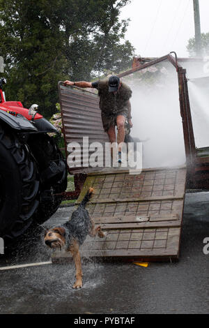 Hunterville, Nuova Zelanda - 27 Ottobre 2018 - pastori e i loro cani avevano a correre attraverso un mobile pecore dip (spruzzatura di acqua e sostanze chimiche non) durante la Shemozzle annuale corsa a ostacoli. Oltre a ciò la gara vede i canini e pastori tackkle colate di fango, giro in carriole e trasportare i tori di testicoli. Il Shemozzle annuale gara richiama migliaia di persone ogni anno in questa cittadina di meno di 500 persone. Immagine: Giordano Stolley Credito: Giordano Stolley/Alamy Live News Foto Stock
