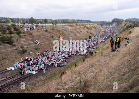 Dueren, Germania. 27 ott 2018. Gli attivisti della campagna alliance 'Ende Gelaende' seduta sui binari della ferrovia di carbone. Gli attivisti della campagna di protesta di alleanza nel settore della lignite con varie azioni. Credito: Christophe Gateau/dpa/Alamy Live News Foto Stock