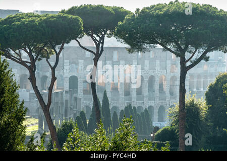 La mattina presto vista attraverso il foro romano verso il Colosseo, Roma, Italia. Foto Stock