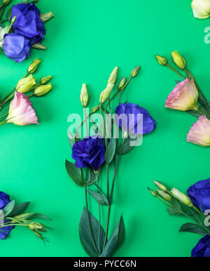 Freschi fiori Eustoma Lisianthus sul libro verde sullo sfondo, vista dall'alto Foto Stock