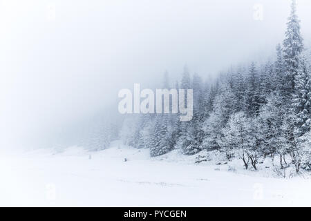 Bianco invernale panorama boschivo con la neve nei monti Tatra, Natale sfondo. Panoramica invernale bellissimo paesaggio ispiratore vista. Foto Stock
