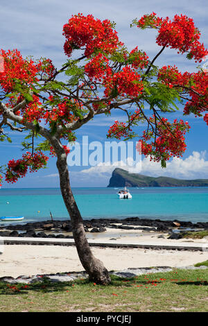 Vista nord verso la piatta isola da Cap Malheureux, Mauritius. Foto Stock