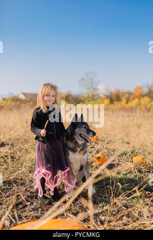 Bambino con il cane a giocare nel campo di zucca di Halloween Foto Stock