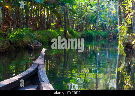 Barca tradizionale del Kerala Backwaters galleggianti attraverso la giungla. Backwaters nel Kerala è una rete di 1500 km di canali sia artificiali e naturali. Foto Stock