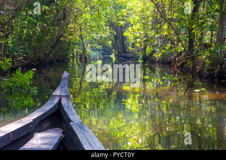 Barca tradizionale del Kerala Backwaters galleggianti attraverso la giungla. Backwaters nel Kerala è una rete di 1500 km di canali sia artificiali e naturali. Foto Stock