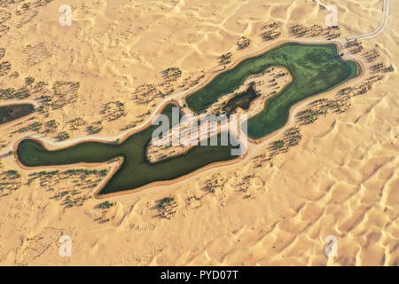 Laghi e alberi in una bellissima oasi nel deserto. Dubai, EAU. Foto Stock