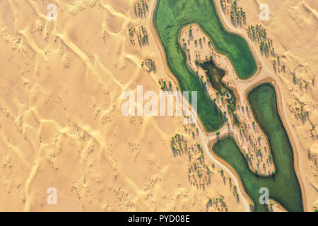 Laghi e alberi in una bellissima oasi nel deserto. Dubai, EAU. Foto Stock