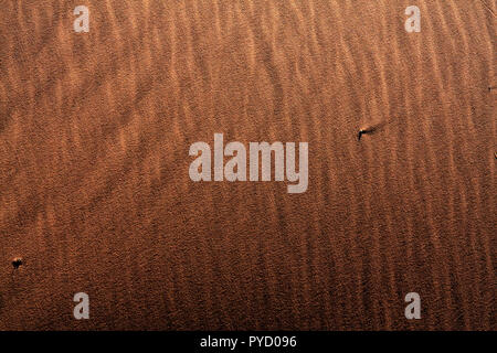 Texture in rosa corallo sabbia al Coral Pink Sand Dunes State Park in Utah. Soffiata dal vento modelli di sabbia Foto Stock