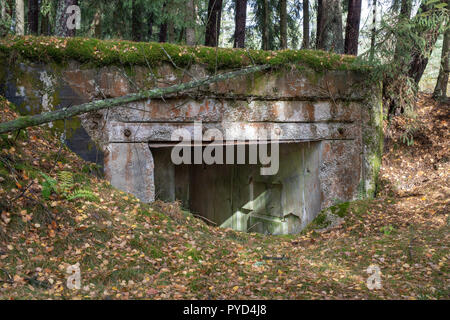 Demolita bunker in Europa centrale. Il vecchio cemento armato le fortificazioni del terrapieno di Pomerania. Stagione di autunno. Foto Stock