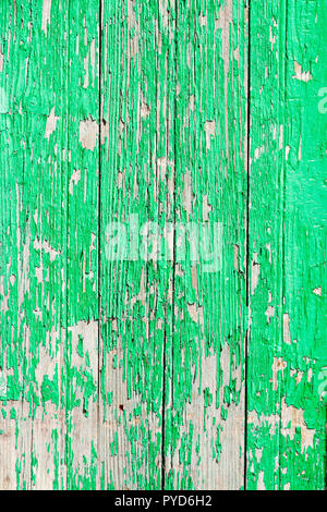 In prossimità di una vecchia porta di legno, vernice verde a spellatura; sfondo texture Foto Stock