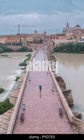 Biker attraversando il ponte di Cordoba. Vista aerea dalla torre di Calahorra. Cordoba, Andalusia, Spagna Foto Stock