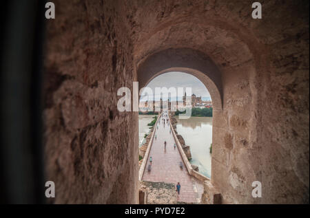 Ponte di cordoba moschea e dalla Torre di Calahorra un giorno di pioggia. Cordoba, Andalusia, Spagna Foto Stock