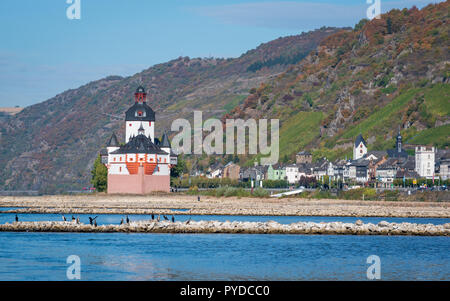 Basso livello del Reno a Kaub dopo la siccità, Burg Pfalzgrafenstein sull isola Foto Stock