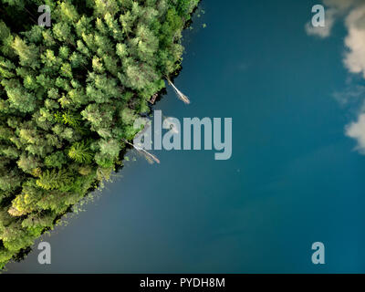 Antenna vista dall'alto del lago di Gela costa con alberi caduti, riflettendo le nuvole e la foresta vicino la città di Vilnius, Lituania Foto Stock
