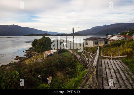 Il Boardwalk all'isolato Puerto Eden in isole di Wellington, fiordi del Cile meridionale. Patagonia Foto Stock