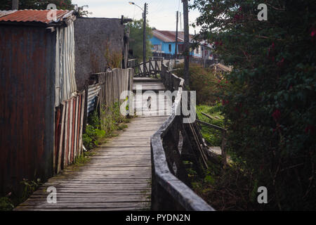 Cat in passerella al isolato Puerto Eden in isole di Wellington, fiordi del sud del Cile, Patagonia Foto Stock