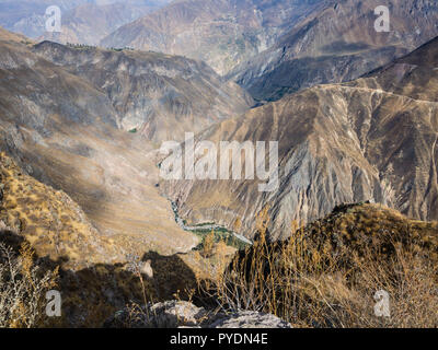 Il Canion del Colca in Perù, il canyon più profondo del mondo Foto Stock