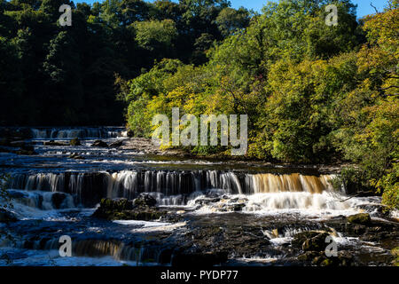 Luce del sole autunnale sul Fiume Ure a forza superiore, Aysgarth, Wensleydale, REGNO UNITO Foto Stock