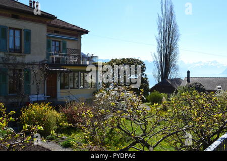 Il giardino sul retro di una grande villa sul lago nel villaggio di viticoltori di Cully in Svizzera, dal Lago di Ginevra. Foto Stock