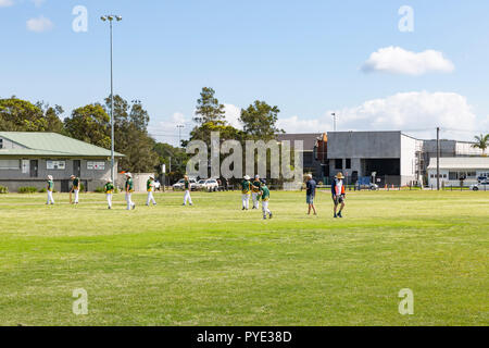 Giovani ragazzi adolescenti a giocare a cricket in Warriewood,Sydney , Australia Foto Stock