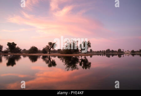 Sunraise in Al Qudra riserva del lago, vicino a Dubai Foto Stock