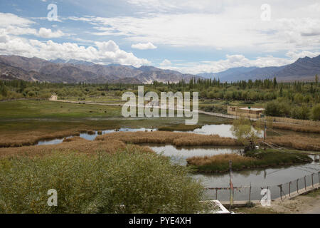 Vista dal monastero di Shey, Leh India Foto Stock