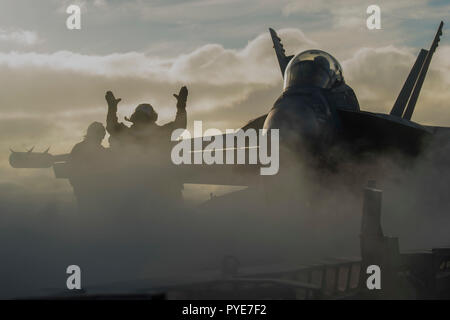 181026-N-IG466-1298 Mare di Norvegia (ott. 26, 2018) marinai dirigere un EA-18G Growler, assegnato al 'Rooks' di Attacco Elettronico Squadron (VAQ) 137, a bordo della Nimitz-class portaerei USS Harry Truman (CVN 75). Attualmente operanti negli Stati Uniti Sesta flotta area di operazioni, Harry Truman continuerà a promuovere la cooperazione regionale con gli alleati e partner, rafforzare la stabilità regionale e di rimanere vigili, agile e dinamica. (U.S. Foto di Marina di Massa lo specialista di comunicazione di terza classe Adelola Tinubu/rilasciato) Foto Stock