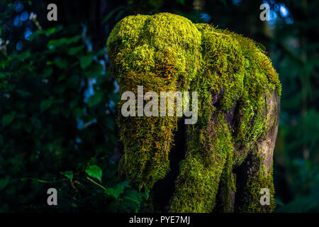 Moss sulla statua di elefante Foto Stock