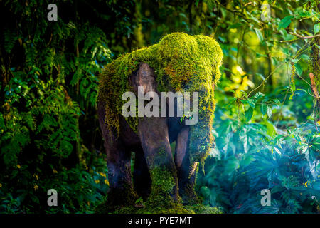 Moss sulla statua di elefante Foto Stock