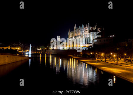 Cattedrale di Palma de Mallorca di notte - Spagna Foto Stock