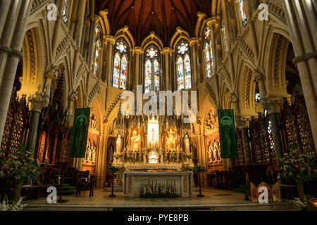 Interno della St Coleman's Cathedral, Cobh, nella contea di Cork, Repubblica di Irlanda Foto Stock