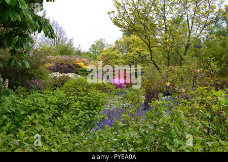 Vista su giardino Emmetts in collina ide, Kent, Inghilterra. Rinomata per bluebells, il NT garden è alta sul North Downs scarpata Greensand Foto Stock