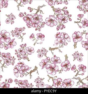 Acquerello sakura pattern. Perfetta consistenza naturale con il fiore ciliegio rami. Disegnato a mano fiori giapponese su sfondo bianco Illustrazione Vettoriale