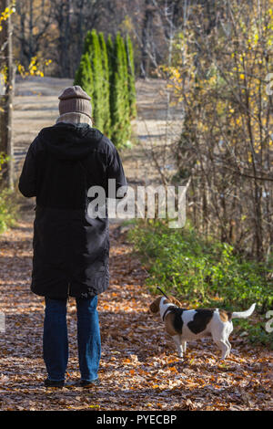 Vista posteriore della donna che cammina con un cane beagle nel parco. Foto Stock