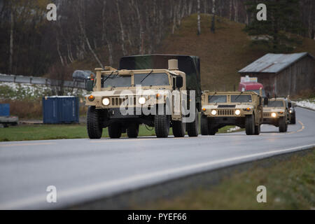 Stati Uniti Marines con il combattimento il battaglione della logistica 2, 2° Marine Group-Forward Logistica, lasciare per un percorso di ricognizione in convoglio Voll, Norvegia, 26 ottobre, 2018. I marines controllato le condizioni stradali e testati di apparecchiature di comunicazione durante la fase di esercizio Trident frangente 18. L'esercizio migliora gli Stati Uniti e gli alleati della NATO e soci per la capacità di lavorare insieme collettivamente a condurre operazioni militari sotto condizioni impegnative. (U.S. Marine Corps foto di Sgt. Bethanie C. Sahms) Foto Stock