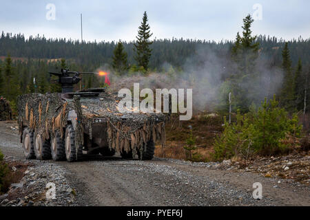 Addestramento al tiro di tedesco 91battaglione di fanteria (Jägerbataillon 91) come parte del molto alta disponibilità Joint Task Force (VJTF) con telecomando-luce controllata stazione arma montata sul trasporto blindati Boxer del veicolo alla formazione militare terreno Rena. Esercitazione NATO Trident Frangente in Norvegia, Rena il 13 ottobre 2018. Foto di Marco Dorow Foto Stock