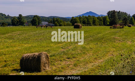 Le balle di fieno a sinistra sui campi dopo la falciatura in tarda estate con vista di cammelli gobba Mountain Vermont Foto Stock